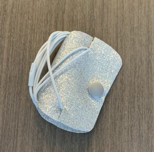 earbud case