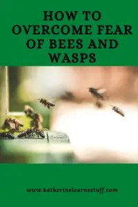 fear of bees and wasps pin