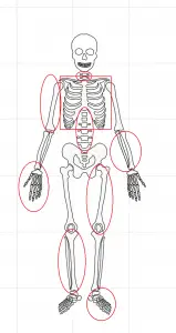 skeleton svg design