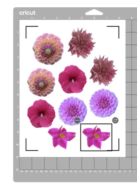 flower stickers with your iphone and Cricut