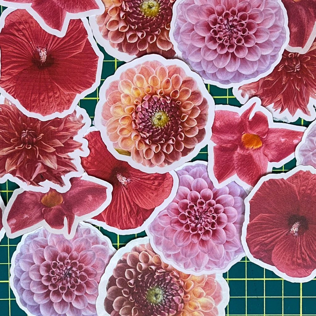 flower stickers with your iphone and Cricut