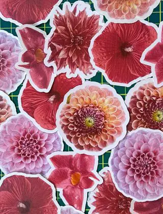 Make Flower Stickers With Your iPhone and Cricut