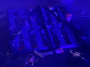 Halloween Zombie Sound Track