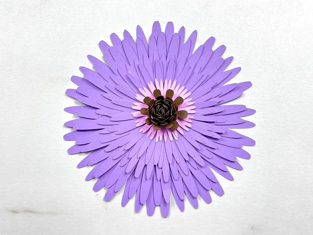 multi-color gerbera daisy