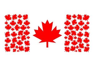 Awesome Canada Day Shirt Design
