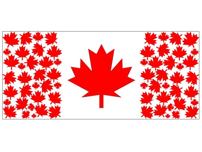 Awesome Canada Day Shirt Design - Image 4