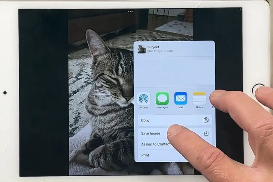 how to make custom pet stickers
