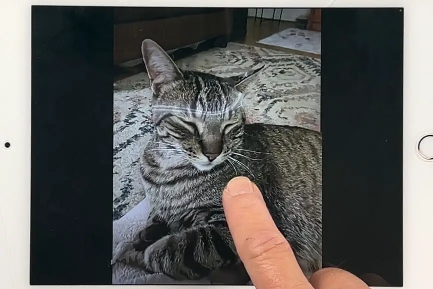 how to make custom pet stickers