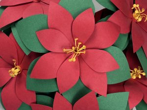 Paper Poinsettia Flower SVG