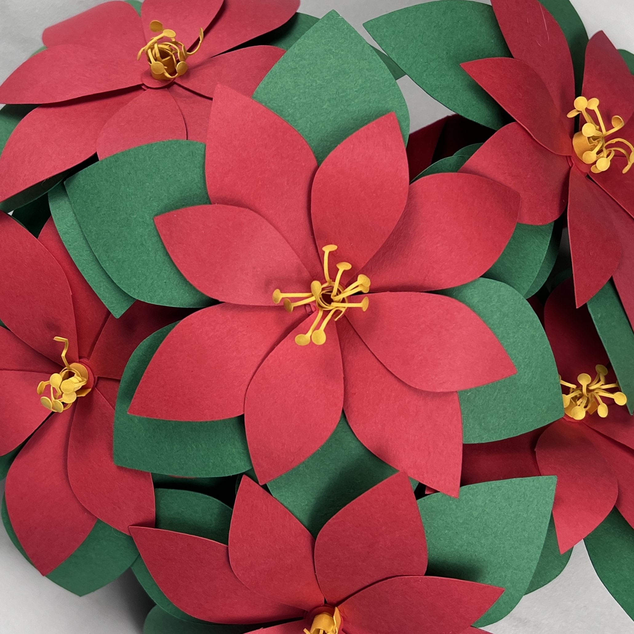 paper poinsettia flower svg
