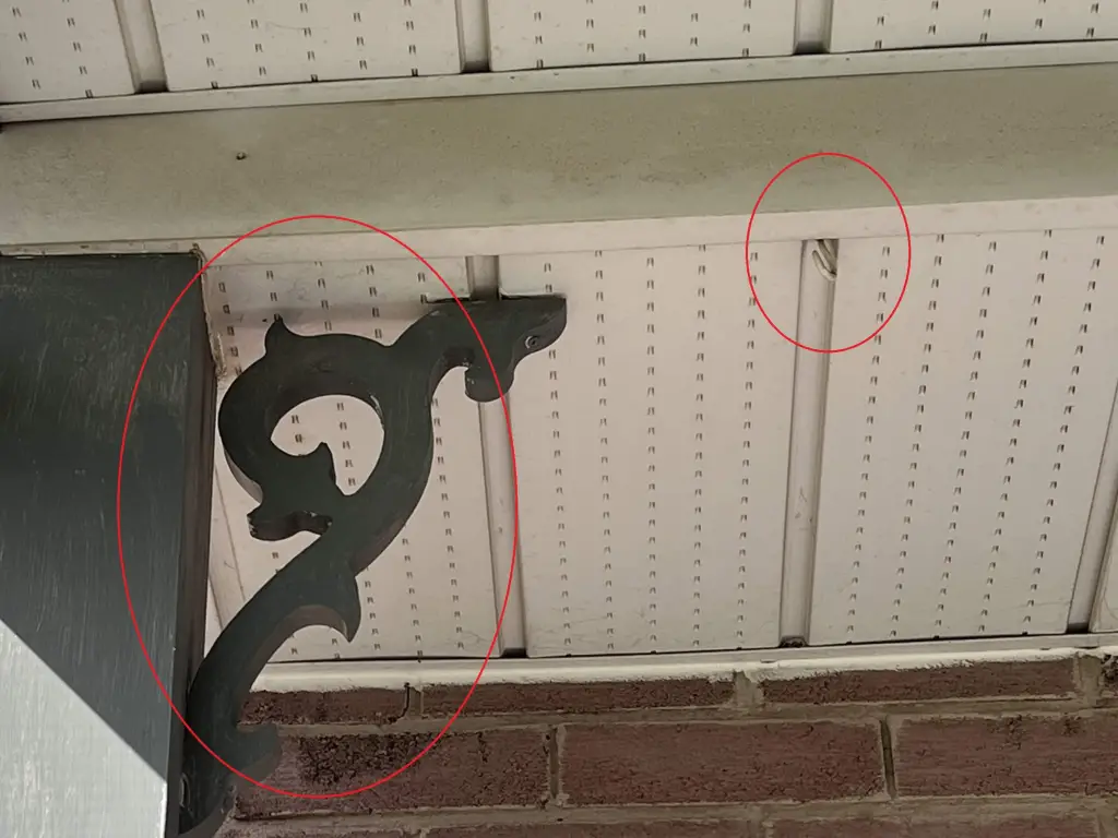 attachment points for giant spider web