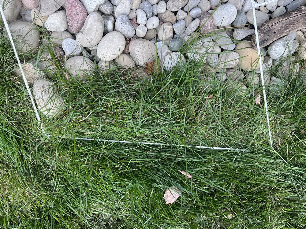 using tent pegs for spider web