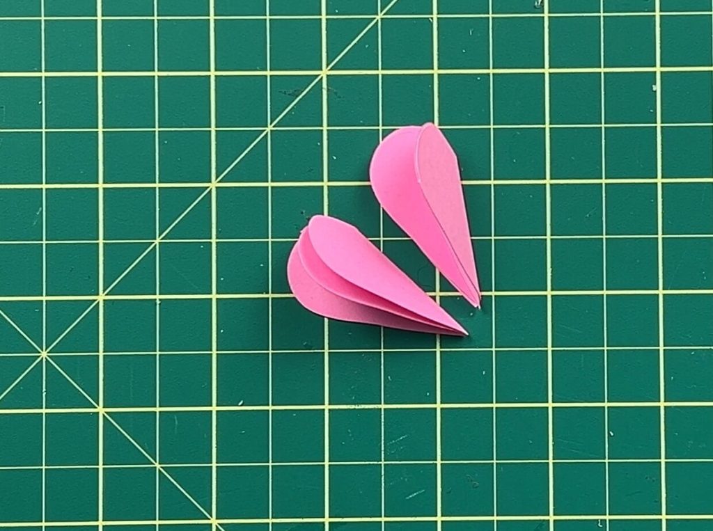 petal comparison