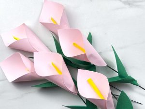 Paper Calla Lily SVG File