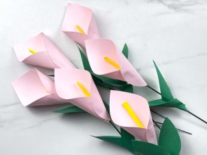 Paper Calla Lily SVG File