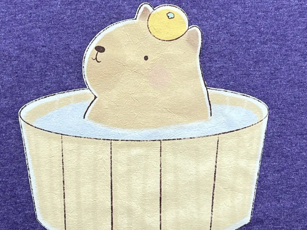 A-Sub Dark Fabric Transfer Paper Post washing