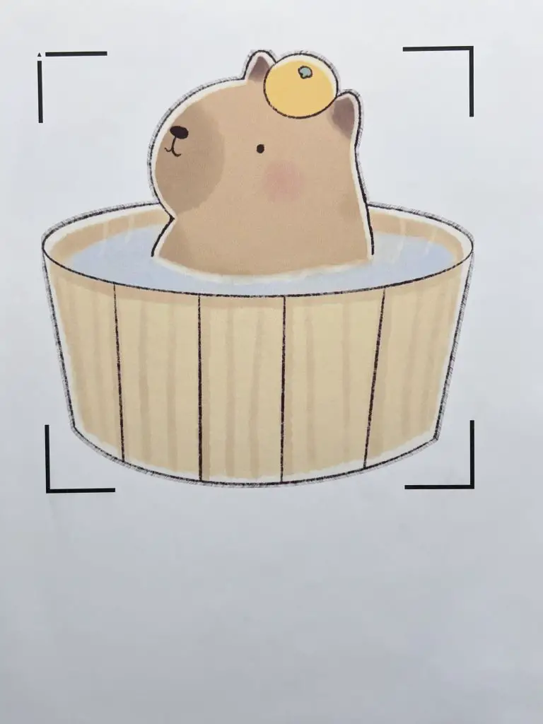 A-Sub Dark Fabric Transfer Paper Printed Image