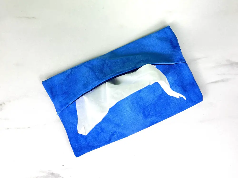 full-size tissue pouch
