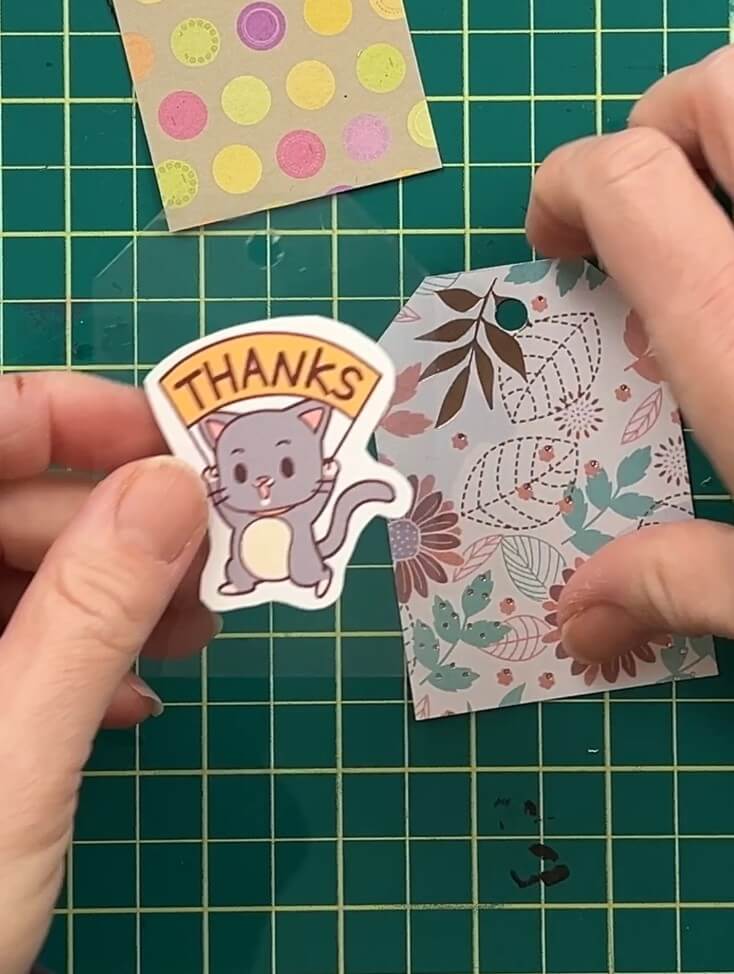 tag 10 - acetate dancing cat