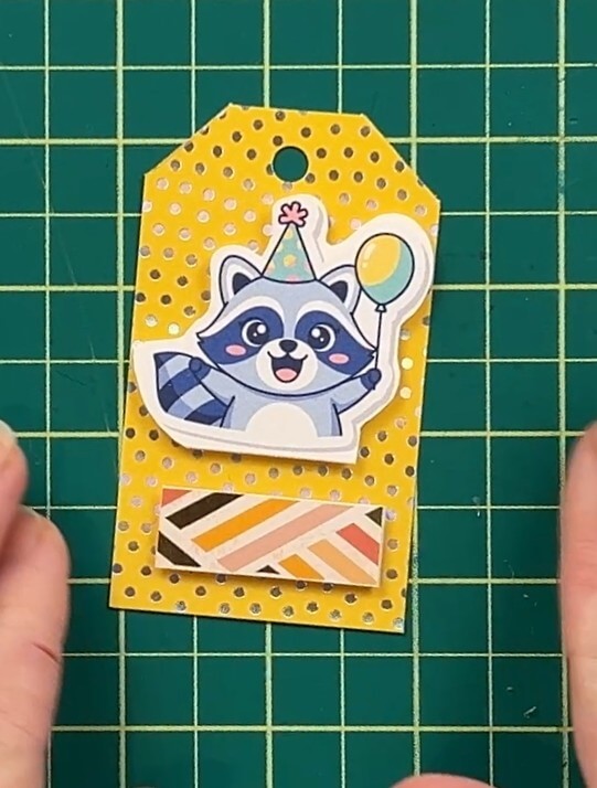 tag 6 - birthday raccoon