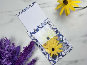 Magic Picture Frame – Video, SVG and More