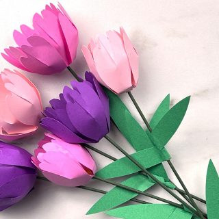 Paper Tulip Shop File