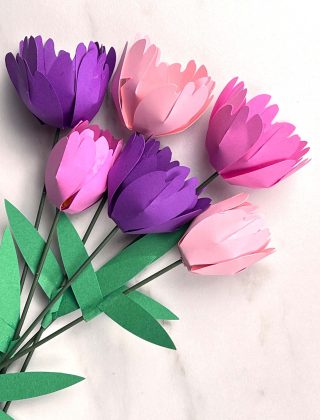 Paper Tulip blog cover