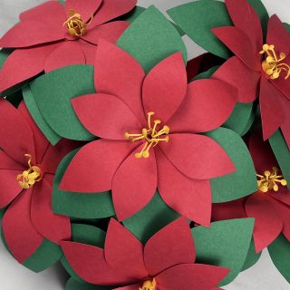 paper poinsettia flower svg
