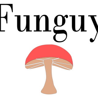 funguy shirt