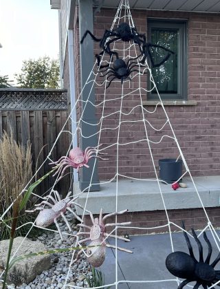 giant spider web front page