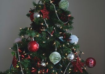 xmas tree prepare tree for christmas