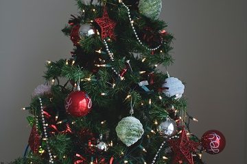 prepare tree for christmas